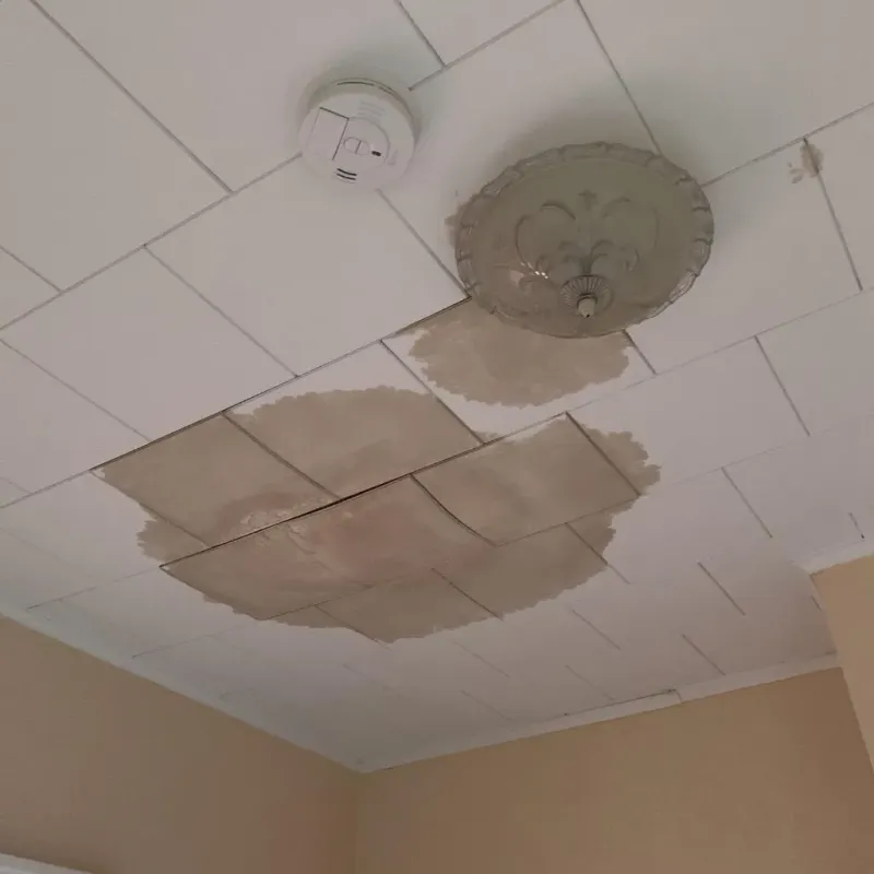 Ceiling Water Damage Repair in Flora, IN