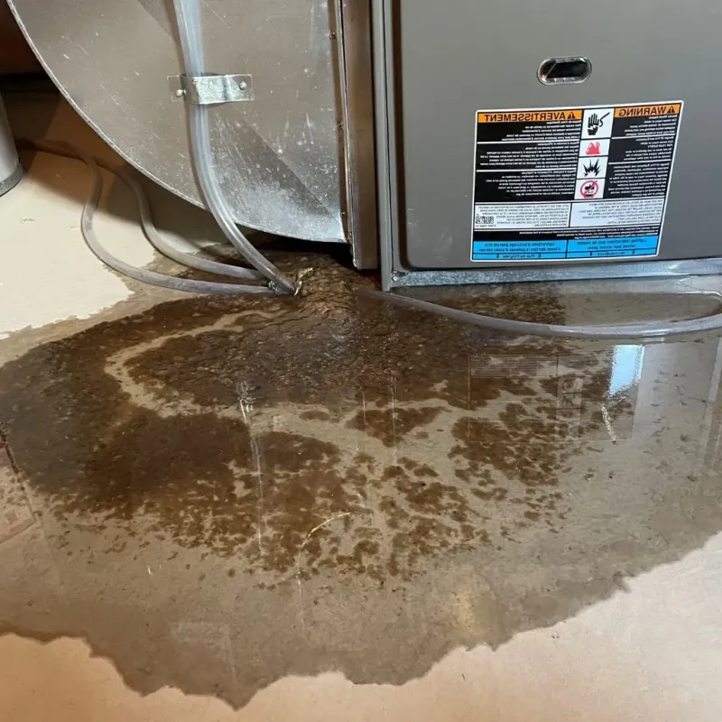 Pipe Burst and Leak Restoration in Flora, IN