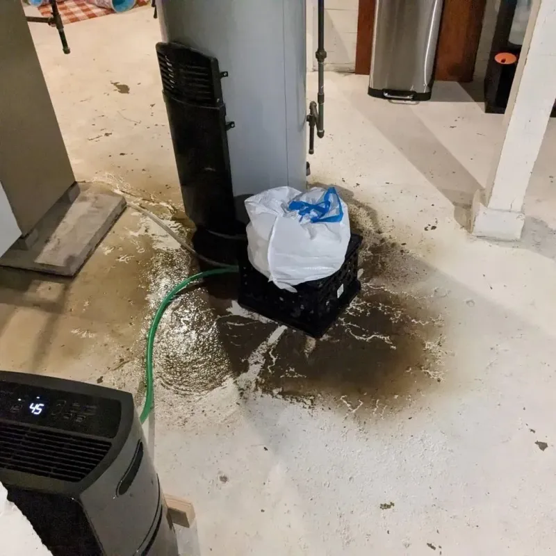Sewage Backup Cleanup Service in Flora, IN